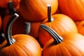 Many pumpkins background Royalty Free Stock Photo