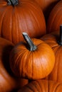 Many pumpkins background Royalty Free Stock Photo