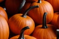 Many pumpkins background Royalty Free Stock Photo