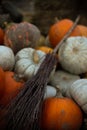 many pumpkins of different sizes and colors of orange gray Royalty Free Stock Photo