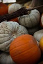 many pumpkins of different sizes and colors of orange gray and yellow green Royalty Free Stock Photo