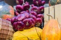 Many pumpkins and red onion still life, autumn background, selective focus