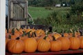 Many pumpkins for sale at farm stand in Maine