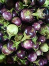 Many purple eggplants are sold in the market