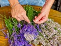 Many Purple levander flower on old wooden table Royalty Free Stock Photo