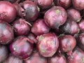 Many purple onions in bulk