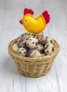 Many quail eggs in the basket, decorated with a handmade bird Royalty Free Stock Photo