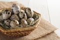 Many quail eggs in basket on white background.