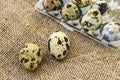 Many quail eggs on a wooden floor many quail eggs on the linen bag on a wooden floor,quail eggs in a plastic box .