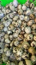 Many, many quail eggsÃ¯Â¼ÅA pile of quail eggs