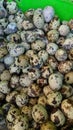 Many, many quail eggsÃ¯Â¼ÅA pile of quail eggs