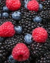 Many raspberries, blackberries, blueberries, background of berries.