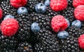 Many raspberries, blackberries, blueberries, background of berries.