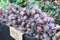 Many Raw Beets for Sale at a Farmers Market Stall