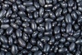 Many raw Black turtle beans