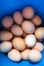 Pile of eggs on blue background