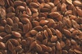 Many Raw Flax linseed macro close up, dark food portrait