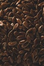 Many Raw Flax linseed macro close up