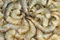Many Raw Green King Size Shrimps On White Background