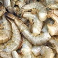 Many Raw Green King Size Shrimps On White Background
