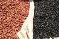 Many red and black kidney beans closeup Royalty Free Stock Photo