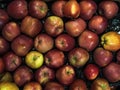 Many red delicious apples in a box in the store Royalty Free Stock Photo