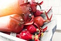Many red fire extinguishers are lying in stack. Fire extinguishing equipment. Distribution of fire extinguishers for Royalty Free Stock Photo