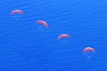 Many Red Parachutes In The Sky Above The Blue Sea. Image In The Style Of Minimalism.