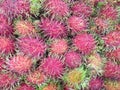 Many Red rambutan in marketn Royalty Free Stock Photo