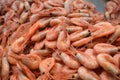 Many red raw fresh shrimps ready to be cooked, displayed for sale at Feskekorka fish market in Gothenborg, Sweden, top view of fla Royalty Free Stock Photo