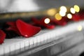 Many red rose petals on piano keys against blurred festive lights, closeup. Space for text Royalty Free Stock Photo