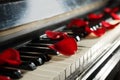 Many red rose petals on piano keys, closeup. Space for text Royalty Free Stock Photo