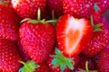 Photo of background made from many red juicy fresh strawberries Royalty Free Stock Photo