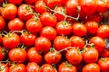 Many red tomatoes Royalty Free Stock Photo