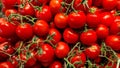 Many red Tomatos Royalty Free Stock Photo