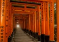Many of red Torii in japan : Fujimi Inari at Kyoto