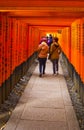 Many of red Torii in japan : Fujimi Inari at Kyoto