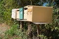 Many retro mail boxes