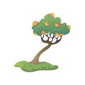 Many ripe apples are growing on the tree. Vector illustration on white background. Royalty Free Stock Photo