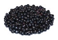 Many ripe black currant berries isolated Royalty Free Stock Photo