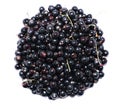 Many ripe black currant berries isolated Royalty Free Stock Photo
