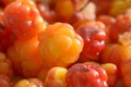 Many ripe cloudberries close photographed.