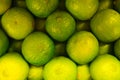 Many ripe, fresh lime fruits lying in a box Royalty Free Stock Photo