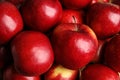 Many ripe juicy red apples as background,
