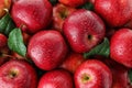 Many ripe juicy red apples covered with water drops Royalty Free Stock Photo