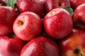 Many ripe juicy red apples covered with water drops Royalty Free Stock Photo