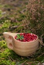 Many ripe lingonberries in wooden cup outdoors