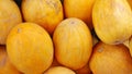 Many ripe mouth-watering yellow melons close-up Royalty Free Stock Photo