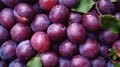 Many ripe plums with leaves at local market. Generative AI Royalty Free Stock Photo