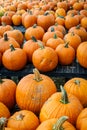 Display Pumpkins